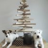 Om man gillar DIY, julträd och söta hundar...