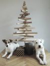 Om man gillar DIY, julträd och söta hundar...