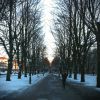 På juldagen kom äntligen snö och sol till Malmö