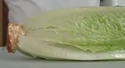 Romansallad