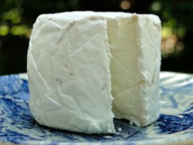 chevre